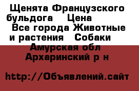 Щенята Французского бульдога. › Цена ­ 45 000 - Все города Животные и растения » Собаки   . Амурская обл.,Архаринский р-н